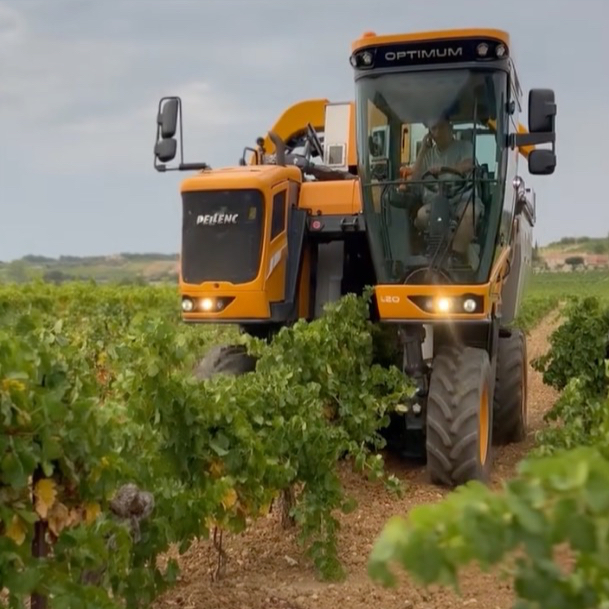 Les vendanges précoces2025 ont commencé au Domaine des Banquettes 🍇