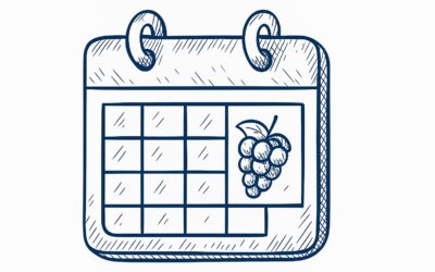 🍷 Les prochains salons du Domaine des Banquettes